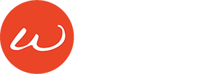Wired In Commerce